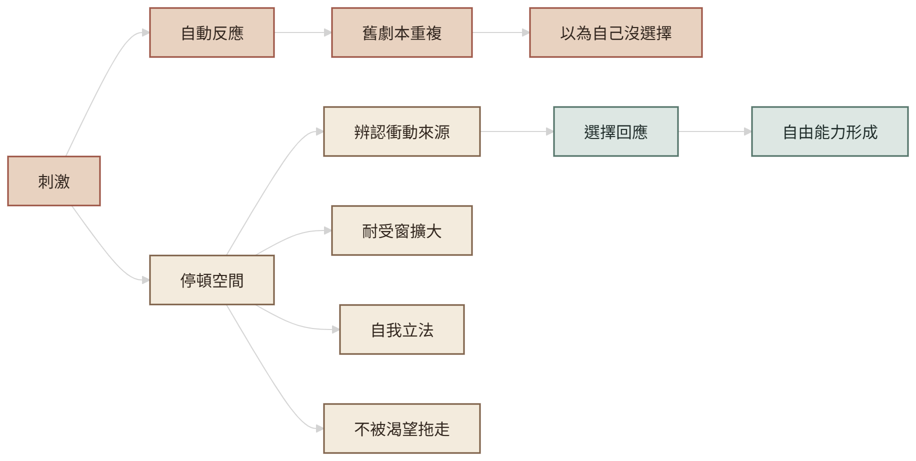 刺激與回應之間的自由空間結構圖,說明自由作為能力的形成過程